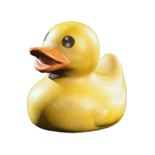 Rubber Duck